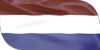 Flag - NED